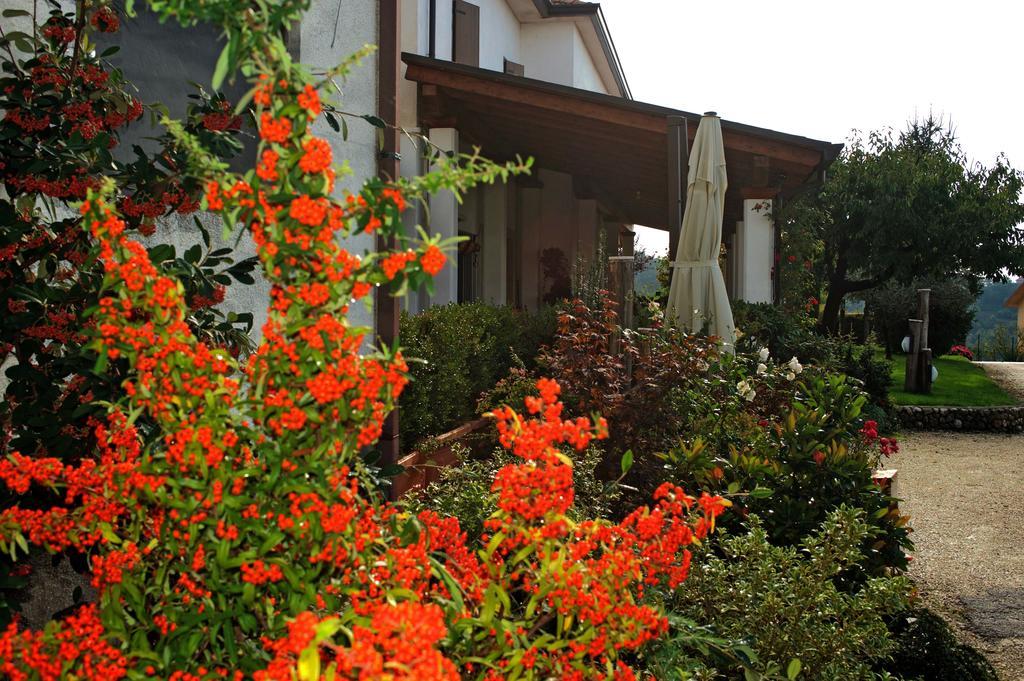 La Staccionata Villa Arpino Exterior photo